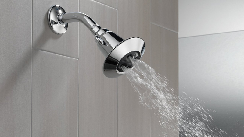 Delta 75152 Shower Head | $14 | Amazon